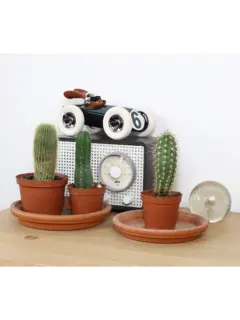 /original/PL-R802_PLFR_Black_4.png_convert-240x320