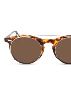 /original/PLESHASTO_TBD_Spotted Ha_4.png_convert-240x320