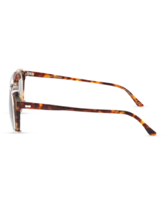 /original/PLESHASTO_TBD_Spotted Ha_5.png_convert-240x320