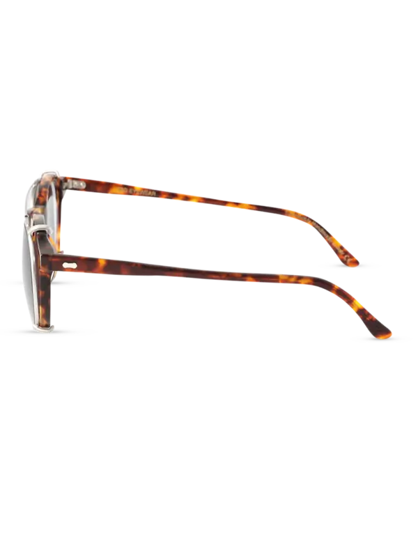 /original/PLESHASTO_TBD_Spotted Ha_5.png_convert-600x800