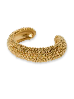 /original/PQN23_B08_PASI_Gold_1.png_convert-240x320