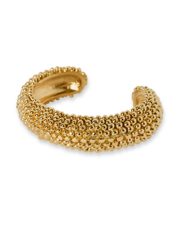 /original/PQN23_B08_PASI_Gold_1.png_convert-600x800