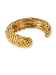 /original/PQN23_B08_PASI_Gold_5.png_convert-240x320