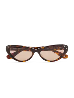 /original/PUPYTOBRL176_BONN_Tortoi_Bro_1.png_convert-240x320