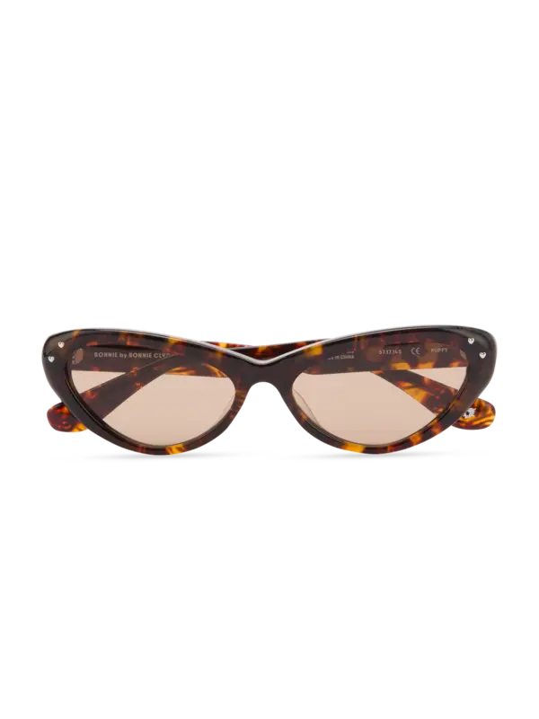 /original/PUPYTOBRL176_BONN_Tortoi_Bro_1.png_convert-600x800