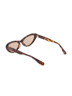 /original/PUPYTOBRL176_BONN_Tortoi Bro_4.png_convert-240x320