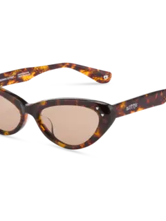 /original/PUPYTOBRL176_BONN_Tortoi_Bro_5.png_convert-240x320