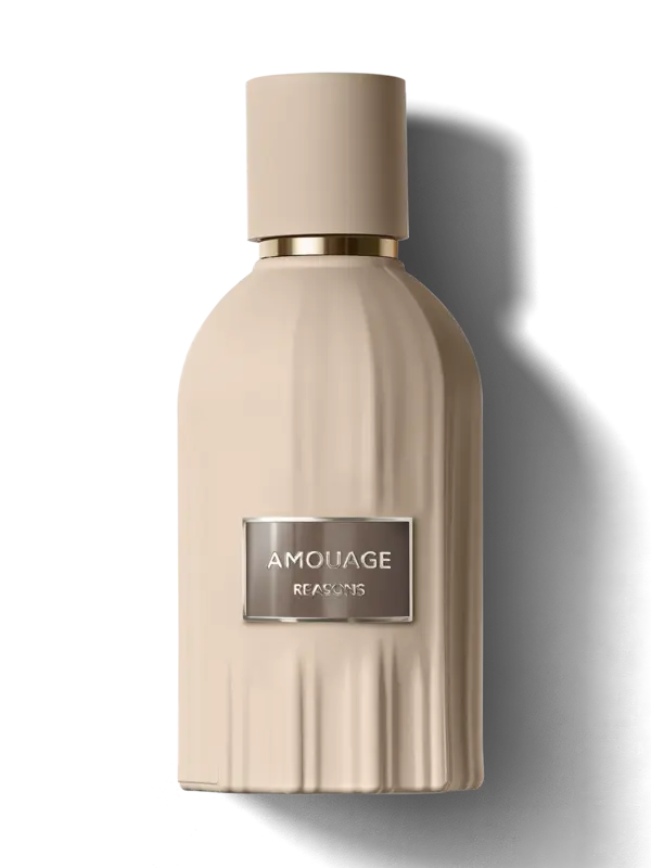 /original/R641104_AMOU_NA_1.png_convert-600x800