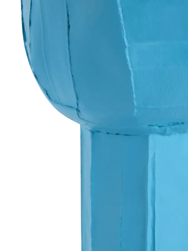 /original/RANUNCOLO1530_PAPA_Blue_4.png_convert-600x800