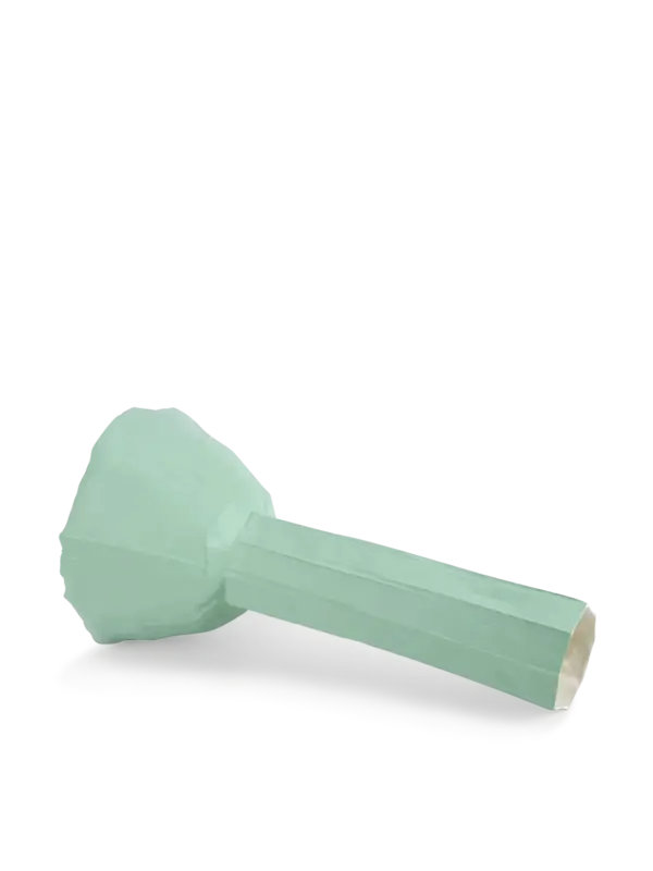 /original/RANUNCOLO2553_PAPA_Mint_3.png_convert-600x800