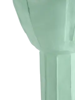 /original/RANUNCOLO2553_PAPA_Mint_4.png_convert-240x320