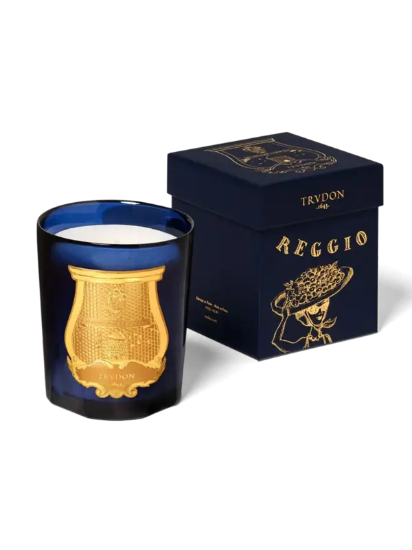 /original/REGBMTRU_CTUR_Blue_3.png_convert-600x800