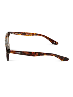 /original/RMCMTOBRL186_BONN_Tortoi Bro_3.png_convert-240x320