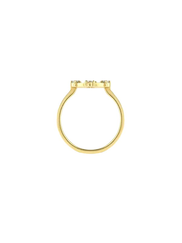 /original/RMM47_CONS_GREEN_3.png_convert-600x800