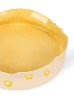 /original/ROUNDDISHDRAWIN_CONS_Yellow_3.png_convert-240x320