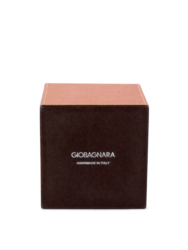 حامل أقلام تيم