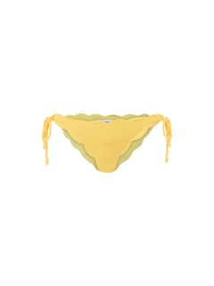 Mott Bottom