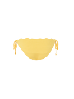 Mott Bottom