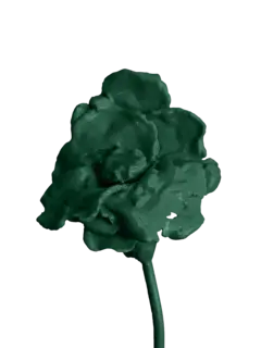 /original/SCULPTGREEN_CONS_Green_1.png_convert-240x320