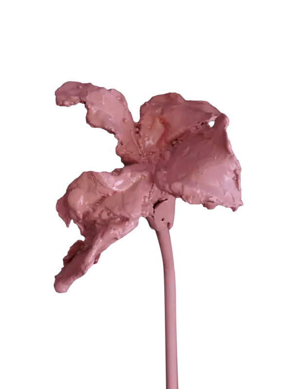 /original/SCULPTPINK_CONS_Pink_1.png_convert-600x800