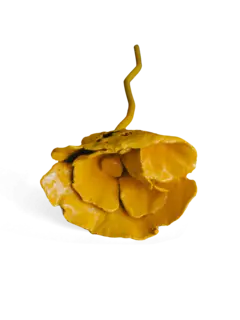 /original/SCULPTYELLOW_CONS_Yellow_1.png_convert-240x320