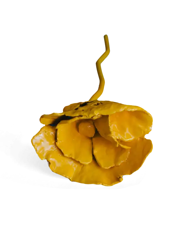 /original/SCULPTYELLOW_CONS_Yellow_1.png_convert-600x800