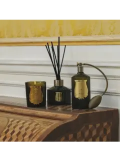 /original/SCYR16TRU_CTUR_Green_2.png_convert-240x320