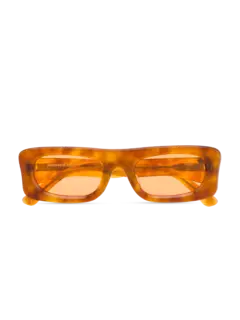 /original/SLIDE_BONN_TortoisOra_1.png_convert-240x320