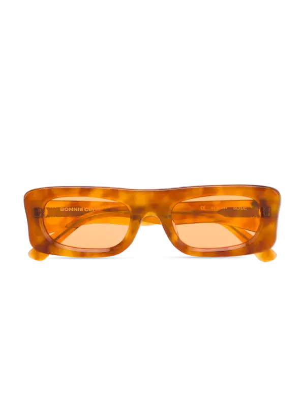 /original/SLIDE_BONN_TortoisOra_1.png_convert-600x800