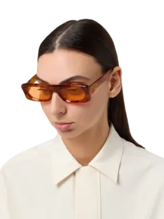 /original/SLIDE_BONN_TortoisOra_2.png_convert-240x320