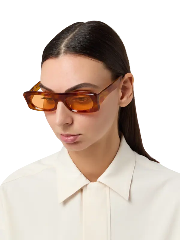 /original/SLIDE_BONN_TortoisOra_2.png_convert-600x800