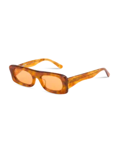 /original/SLIDE_BONN_TortoisOra_3.png_convert-240x320