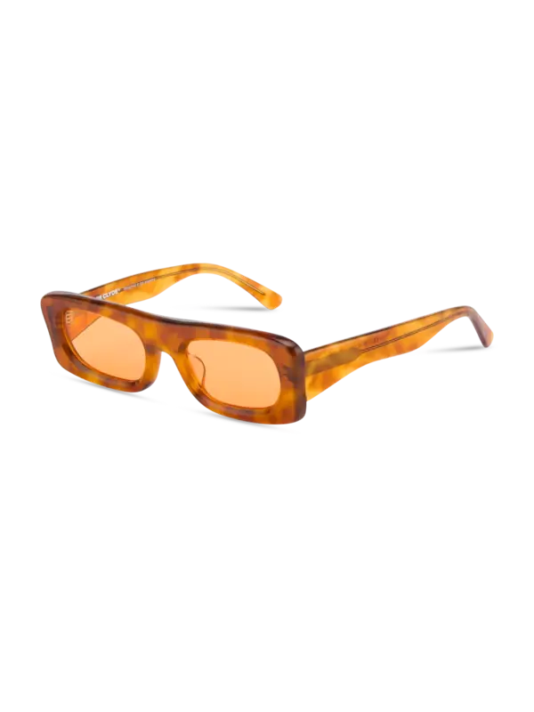 /original/SLIDE_BONN_TortoisOra_3.png_convert-600x800