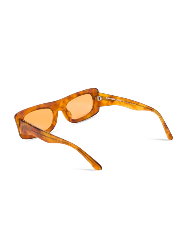 /original/SLIDE_BONN_TortoisOra_4.png_convert-600x800