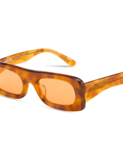 /original/SLIDE_BONN_TortoisOra_5.png_convert-240x320