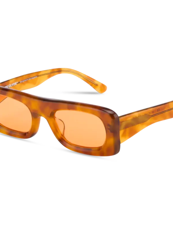 /original/SLIDE_BONN_TortoisOra_5.png_convert-600x800