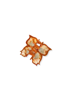 /original/SOLECL24_SOLA_ORANGE_3.png_convert-240x320