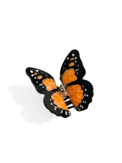 /original/SOLECL31_SOLA_ORANGE_1.png_convert-240x320