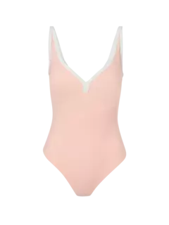 /original/SP446_LISA_Cccp Coral_1.png_convert-240x320