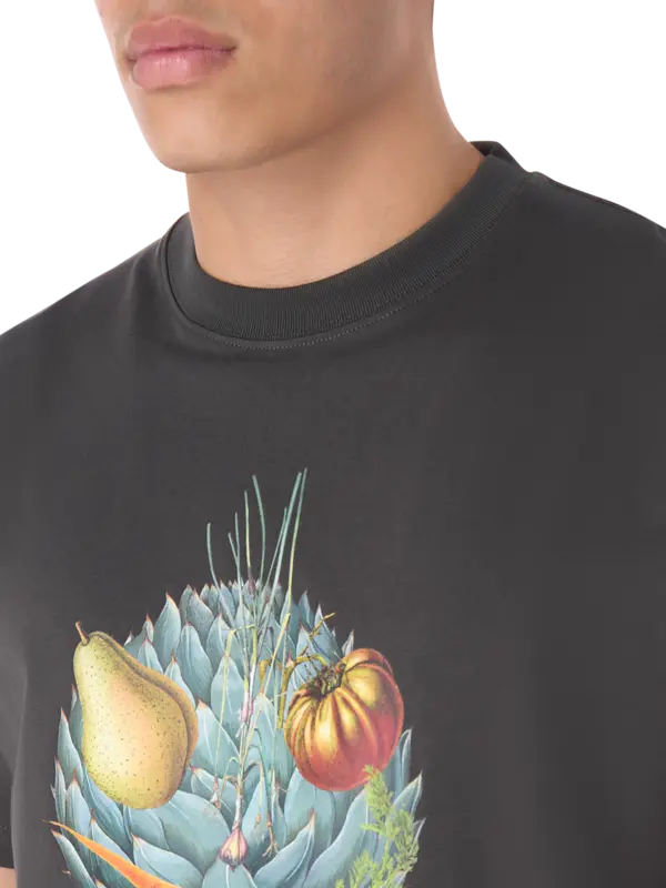 تيشرت تيموثي