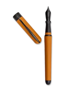 /original/SSAFXPP4101057_PINE_Mango_2.png_convert-240x320