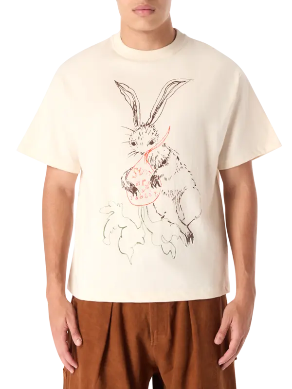 /original/SSS24TSGRACOTSX_SMFG_Story X Ra_1.PNG_convert-600x800