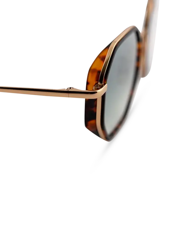 /original/TOMMASO2CI425_EPYP_Goldgreeng_4.png_convert-600x800