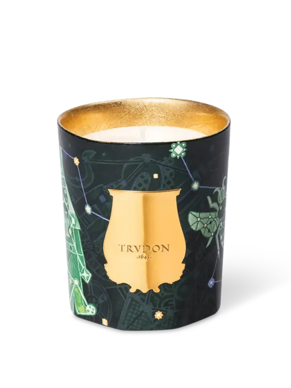 /original/TRU270NEFIR_CTUR_Green_1.png_convert-600x800