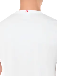 /original/TSHM001_MC2S_02618Hibiz_5.png_convert-240x320