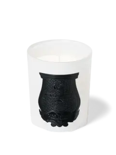 /original/VALR14TRU_CTUR_Green_1.png_convert-240x320