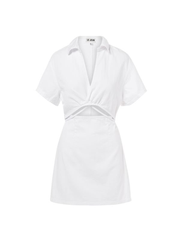 Koko Mini Dress In White Wash