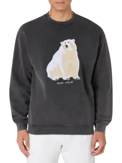 /original/YMLEDRUOURS_MLBC_Carbon was_1.png_convert-240x320