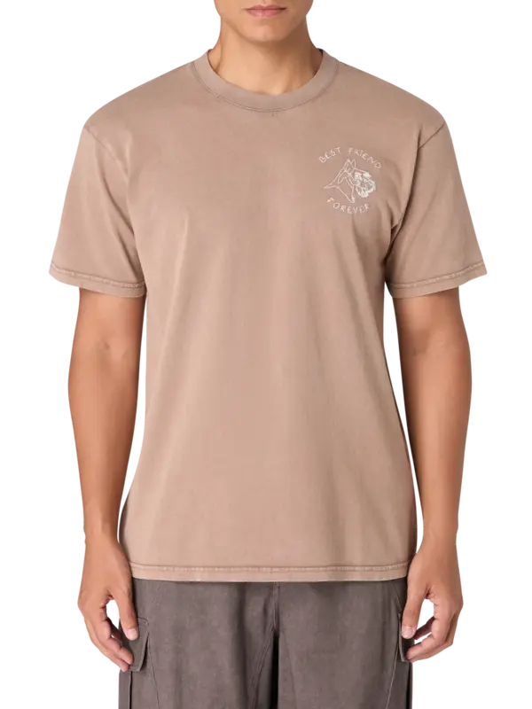 /original/YMPATUREAUDOGS_MLBC_Chesnut Br_1.png_convert-600x800