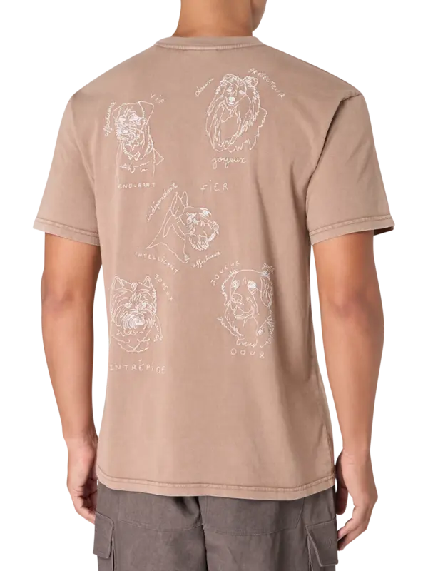 /original/YMPATUREAUDOGS_MLBC_Chesnut Br_3.png_convert-600x800